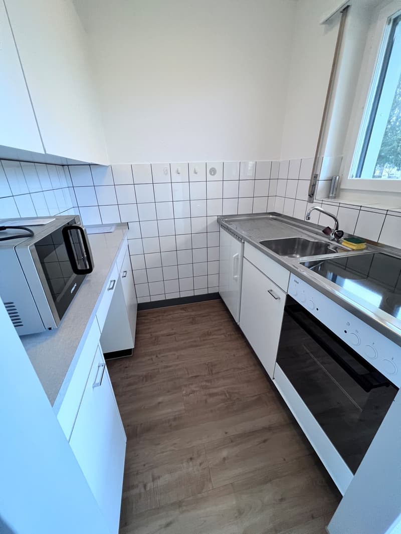 *****Grüne Oase*****1 1/2-Zimmerwohnung im Grünen***** (5)
