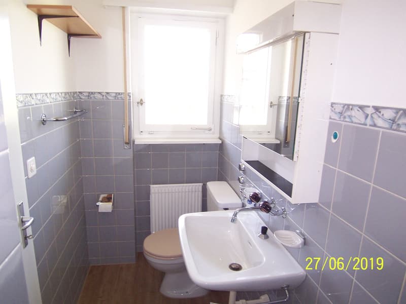 *****Grüne Oase*****1 1/2-Zimmerwohnung im Grünen***** (7)