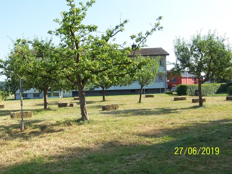*****Grüne Oase*****1 1/2-Zimmerwohnung im Grünen***** (17)