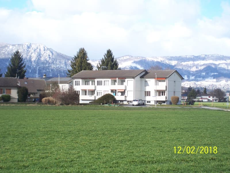 *****Grüne Oase*****1 1/2-Zimmerwohnung im Grünen***** (19)