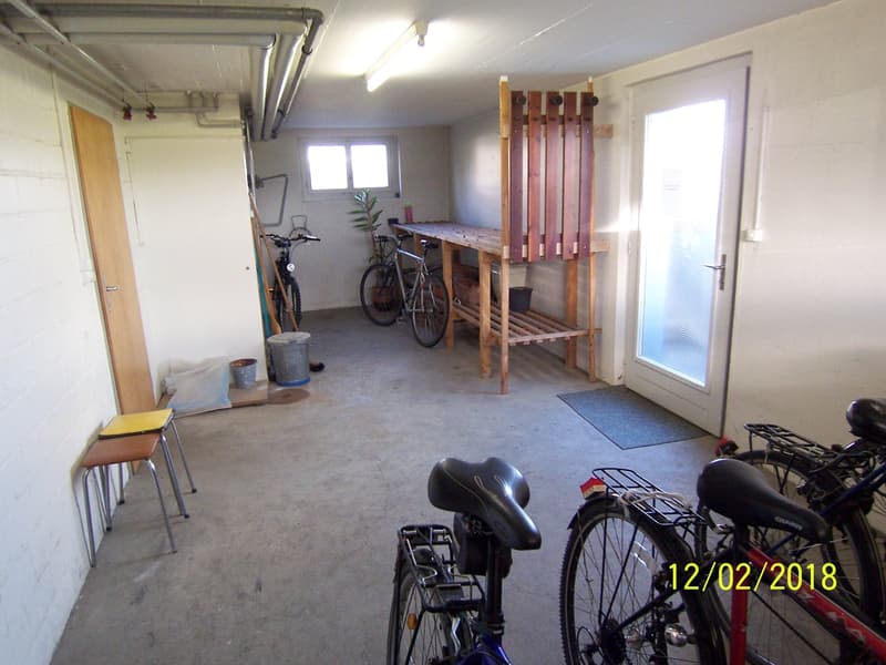 *****Grüne Oase*****1 1/2-Zimmerwohnung im Grünen***** (22)