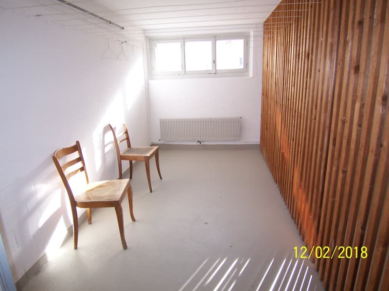 *****Grüne Oase*****1 1/2-Zimmerwohnung im Grünen***** (25)