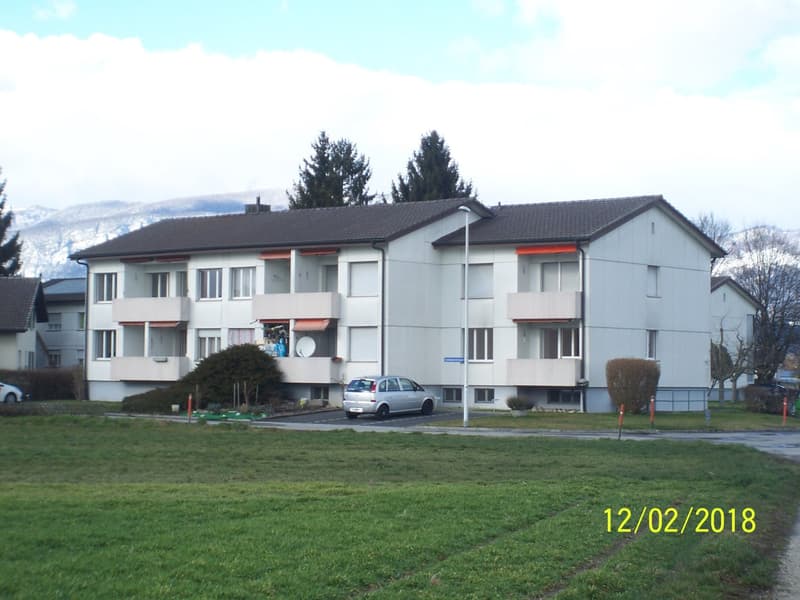 *****Grüne Oase*****1 1/2-Zimmerwohnung im Grünen***** (18)