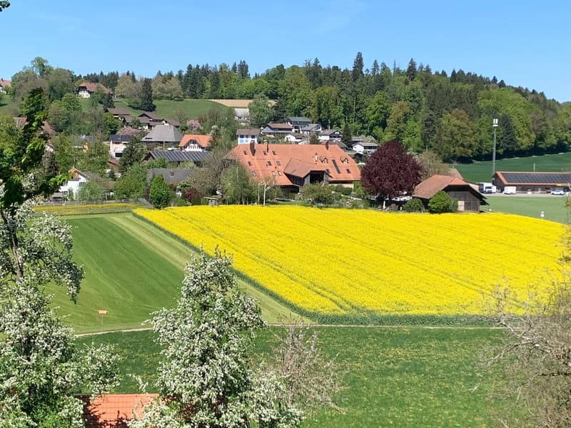 *** Tag der offenen Tür *** Grandios 228 m2! *** Stalderhof Seeberg! *** 105 m2 Wohn/Esszimmer! *** (3)