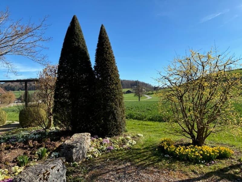 *** Tag der offenen Tür *** Grandios 228 m2! *** Stalderhof Seeberg! *** 105 m2 Wohn/Esszimmer! *** (48)