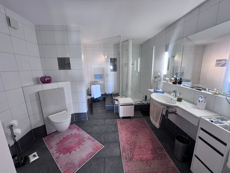 ***Vivere in campagna!***228 m2!***Stalderhof Seeberg ***105 m2 Wohn/Esszimmer!*** (19)