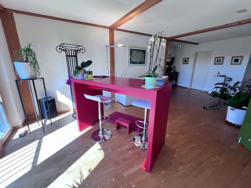 ***Vivere in campagna!***228 m2!***Stalderhof Seeberg ***105 m2 Wohn/Esszimmer!*** (14)