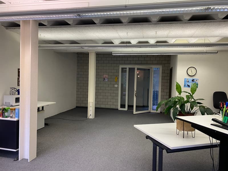 Büroraum mit 47 m2 inkl. WC im 2. OG im Rhypark (2)