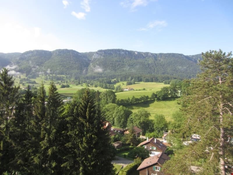 Attraktives Mehrfamilienhaus in Moutier – 9 Wohnungen, Garagen & Balkone (4)
