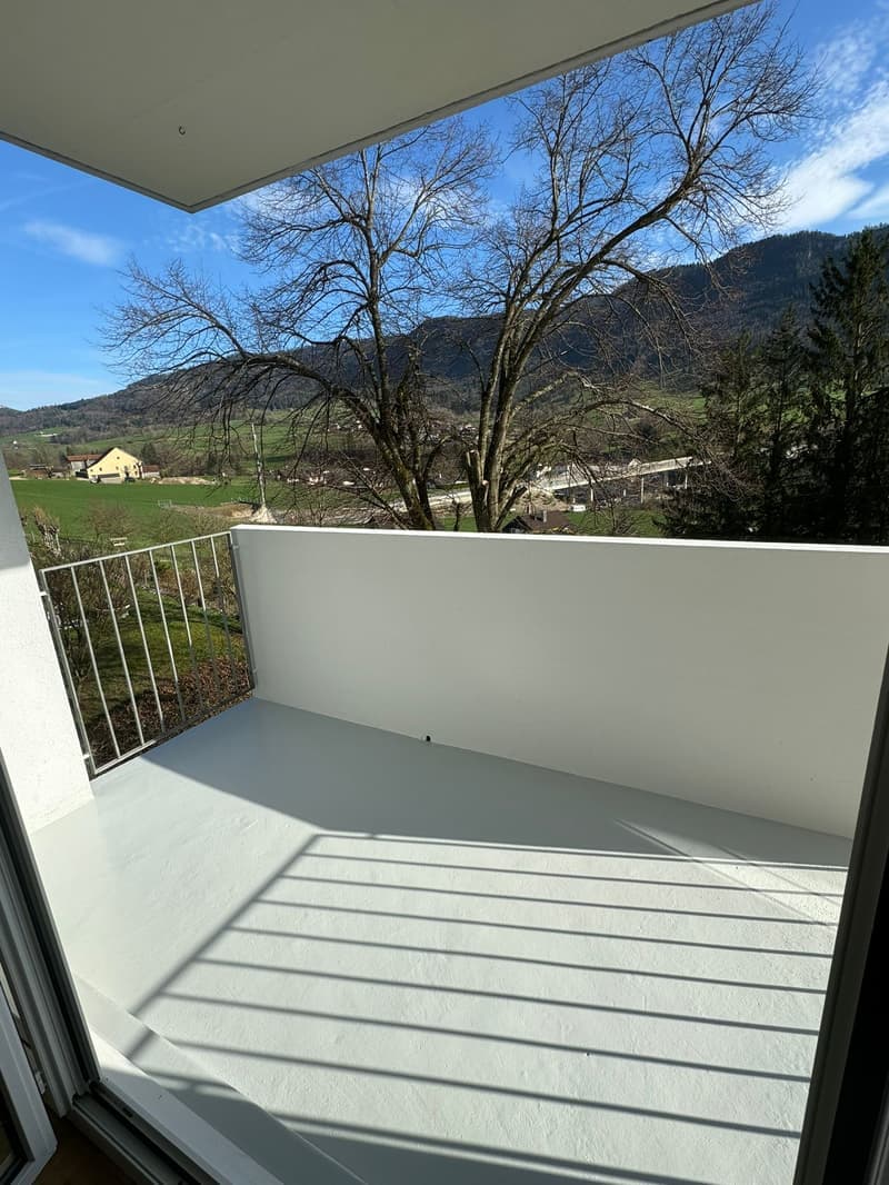 Attraktives Mehrfamilienhaus in Moutier – 9 Wohnungen, Garagen & Balkone (5)