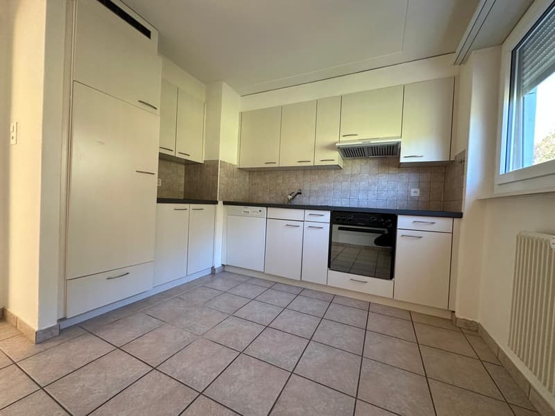 Eine sichere Anlage bestehend aus 9 Wohnungen mit Garagen & Balkone (4)