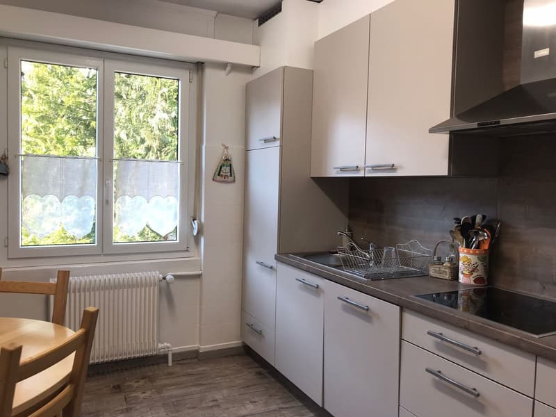 Jolie appartement dans un quartier calme (3)