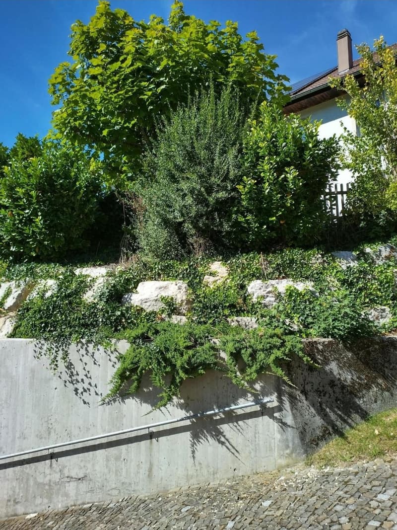 Appartement simple et charmant de 4 pièces à Perrefitte (BE) (2)