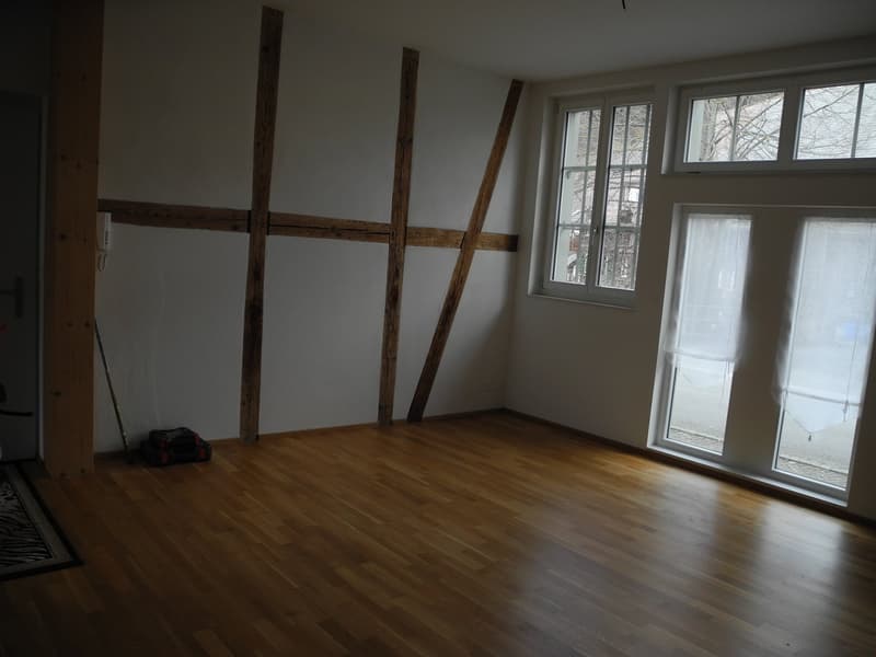 5 1/2-Zimmerwohnung Erdgeschoss (4)