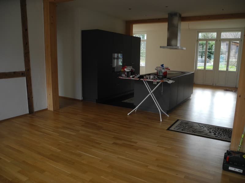 5 1/2-Zimmerwohnung Erdgeschoss (2)