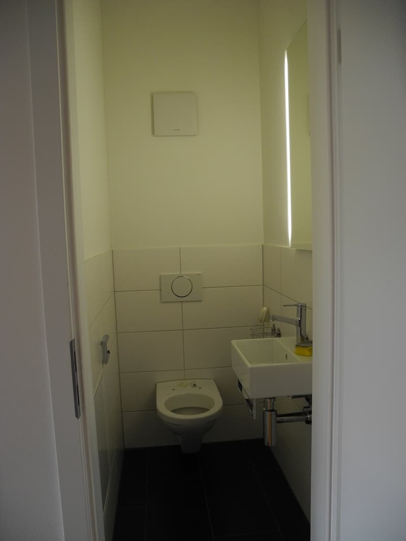 5 1/2-Zimmerwohnung Erdgeschoss (12)