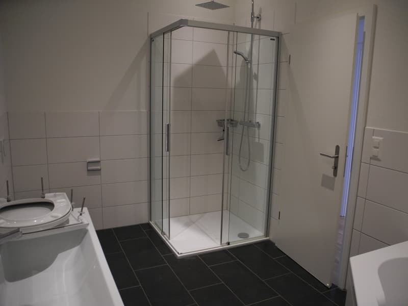 5 1/2-Zimmerwohnung Erdgeschoss (11)