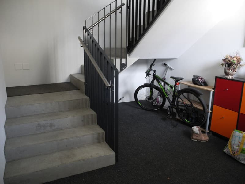 5 1/2-Zimmerwohnung Erdgeschoss (14)