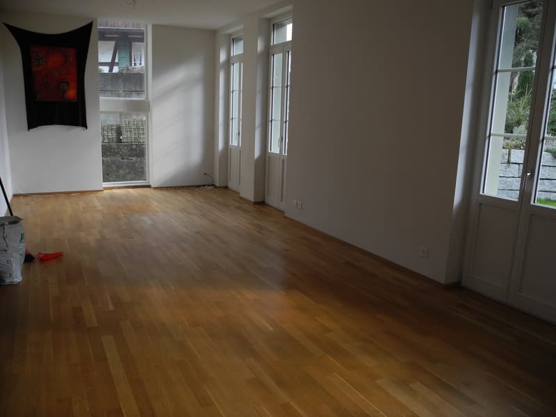 5 1/2-Zimmerwohnung Erdgeschoss (3)