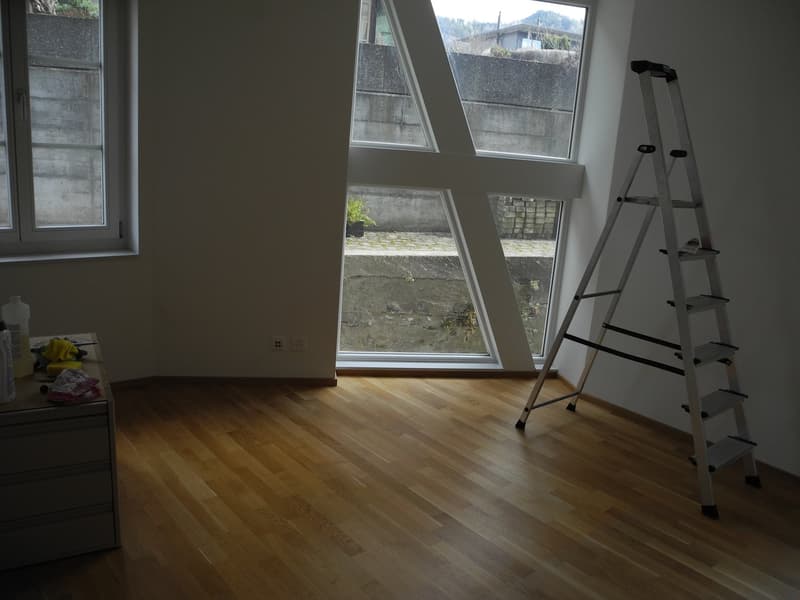 5 1/2-Zimmerwohnung Erdgeschoss (8)