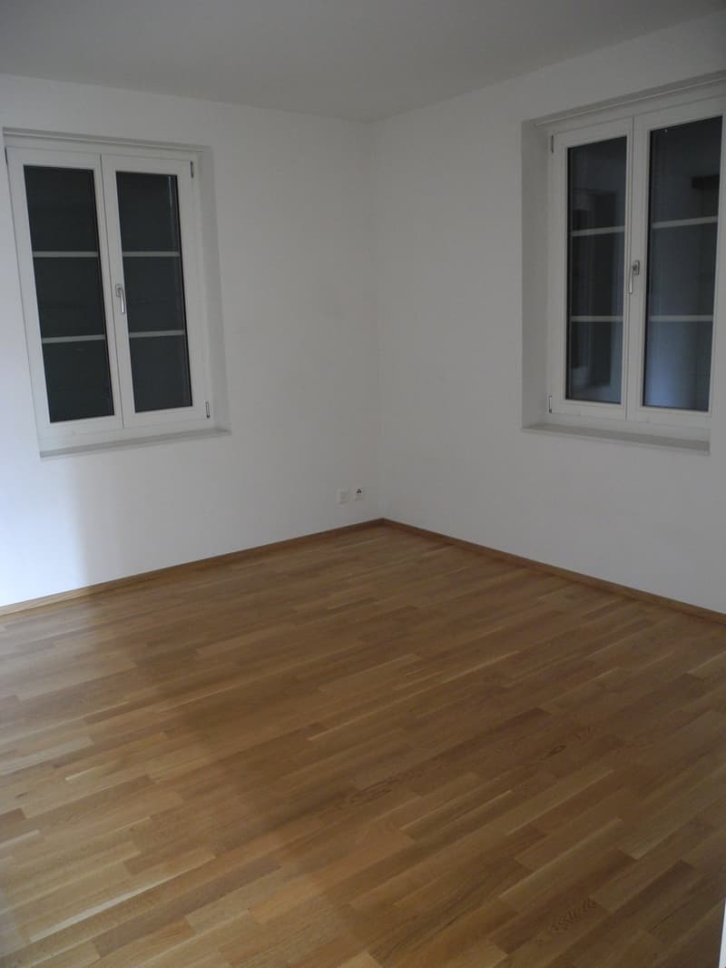 5 1/2-Zimmerwohnung Erdgeschoss (9)