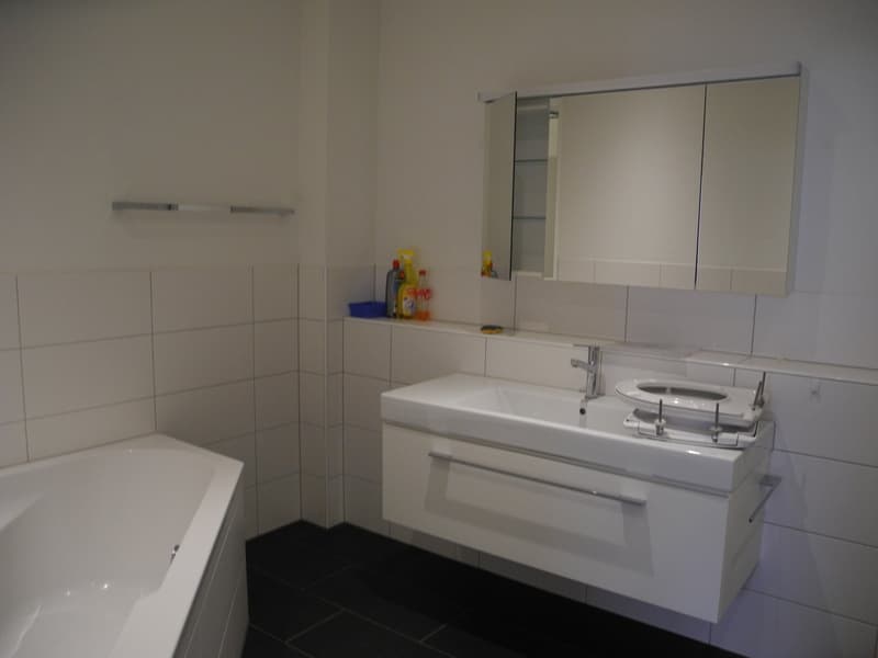 5 1/2-Zimmerwohnung Erdgeschoss (10)
