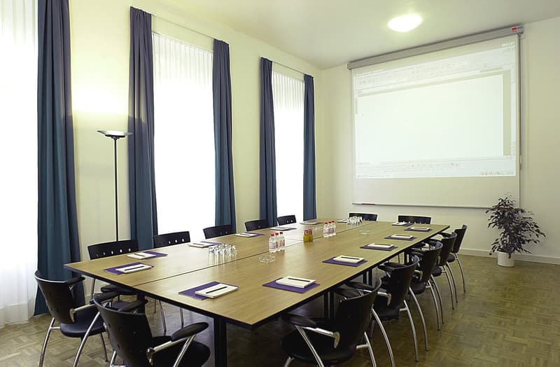 Large wooden conference table with black chairs, projector screen on the wall, large windows with curtains, and a plant in the corner