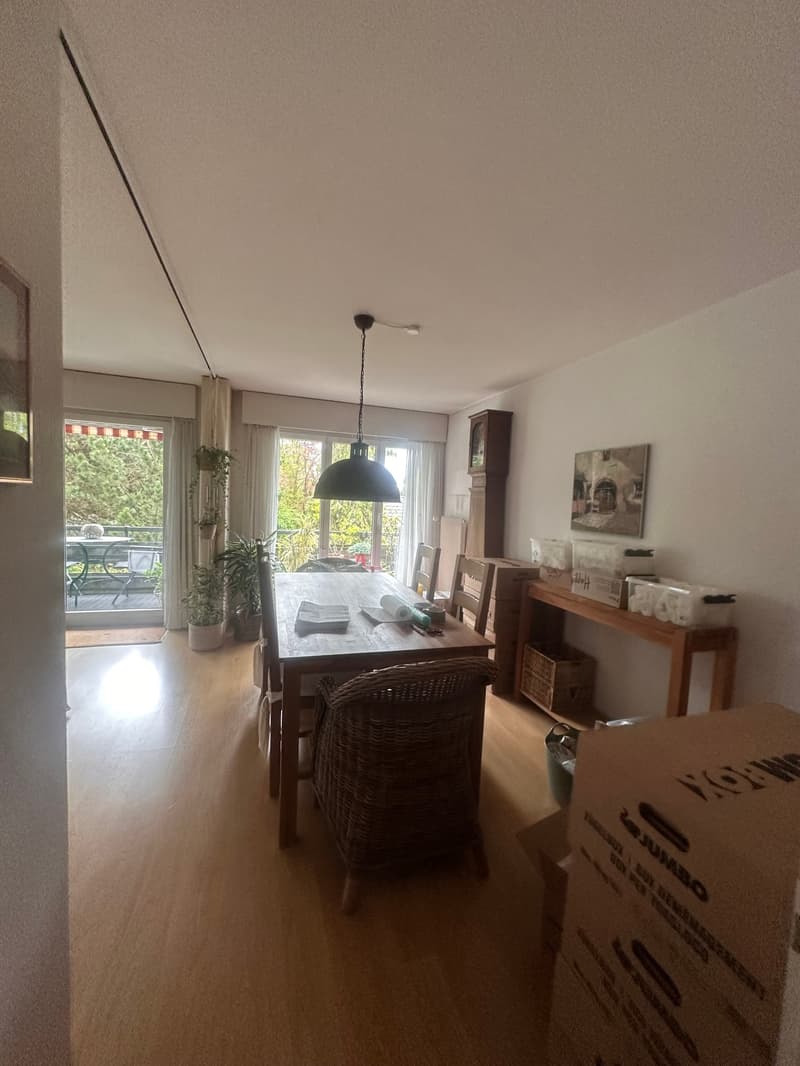 Dining room with wooden table, chairs, and a lamp. There is a wooden cabinet, a painting, and a clock on the wall. There are potted plants and a rug on the floor. There is a balcony with a table and chairs outside.