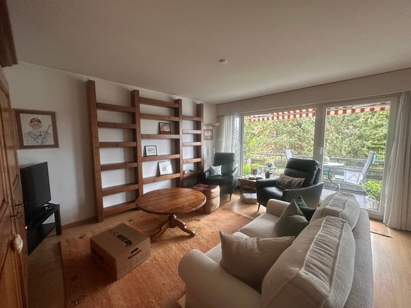 wooden shelves, round table, couch, armchairs, TV, rug, picture frame, balcony, sliding glass doors, outdoor chairs, trees