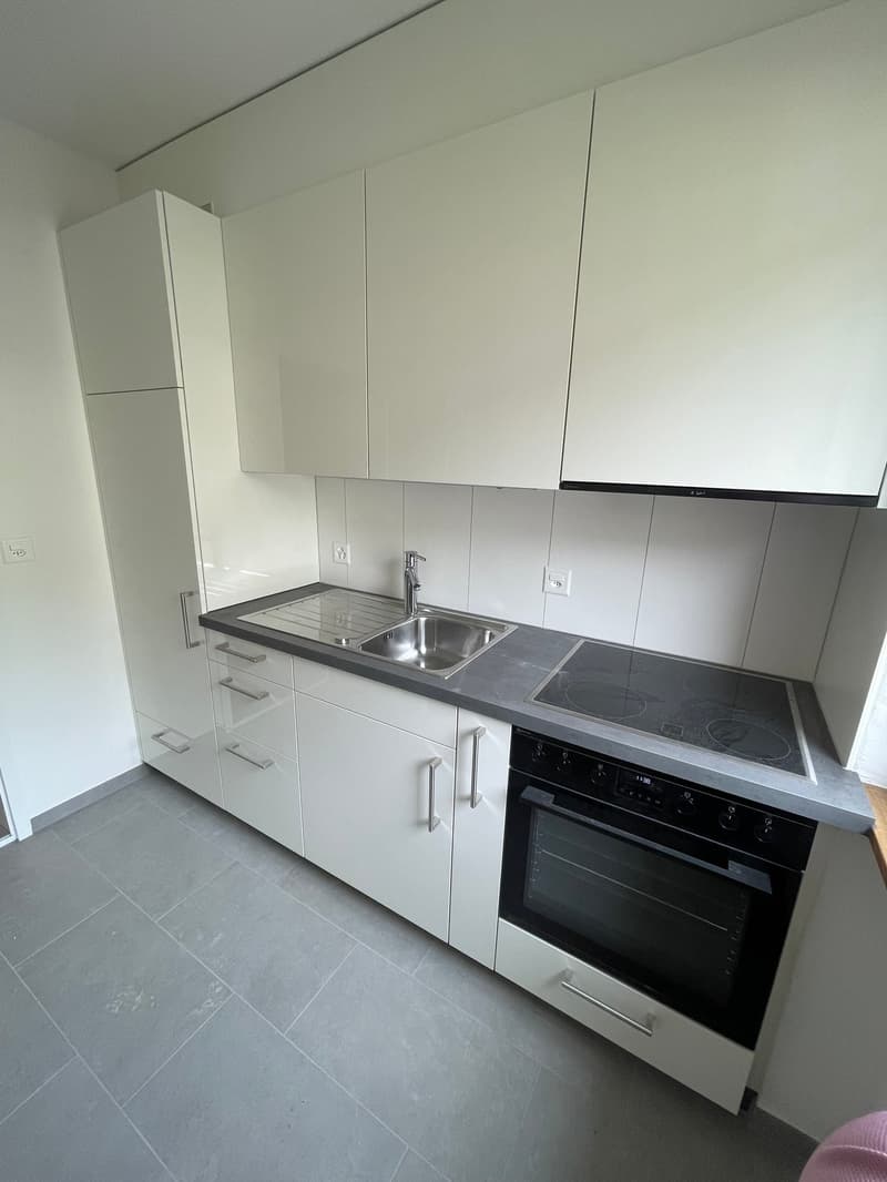 Neu sanierte 3-Zimmerwohnung in der Länggasse (4)