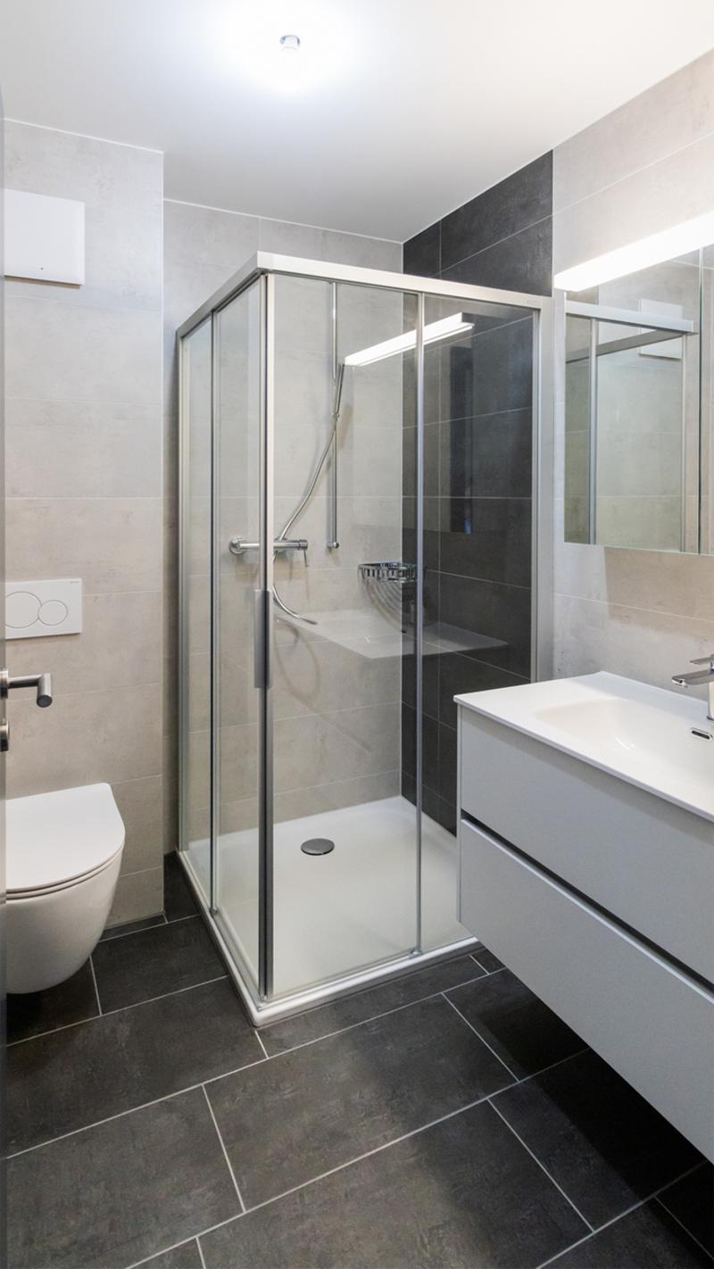 A LOUER SPLENDIDE ATTIQUE 4.5 PCES A MONTHEY (6)