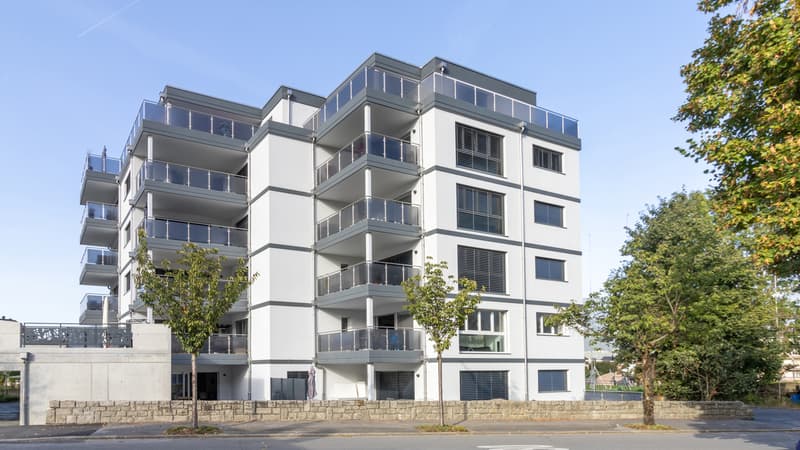 MAGNIFIQUE APPARTEMENT 3.5 PCES A MONTHEY (3)