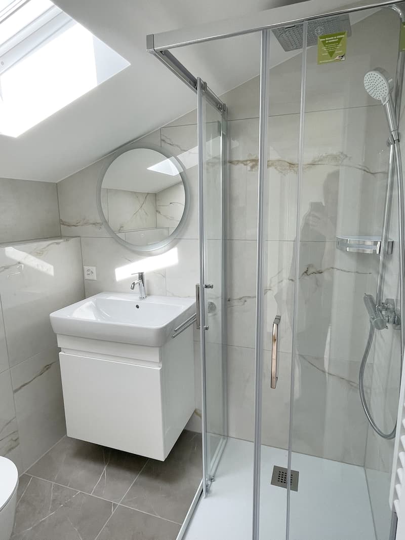 A VENDRE VILLA DE CHARME ET DE CARACTERE 6.5 PCES A CHALAIS (8)