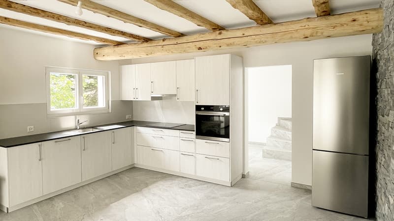 A VENDRE VILLA DE CHARME ET DE CARACTERE 6.5 PCES A CHALAIS (4)