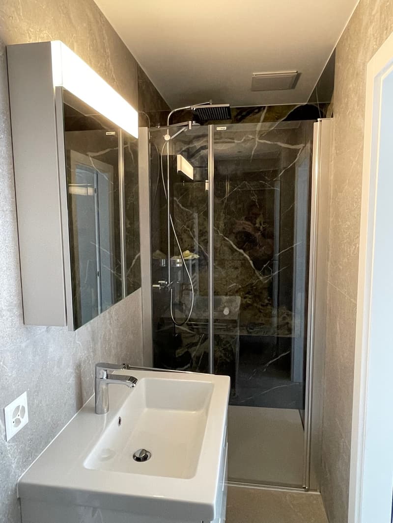A VENDRE VILLA DE CHARME ET DE CARACTERE 6.5 PCES A CHALAIS (10)