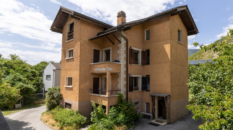 A LOUER MAGNIFIQUE APPARTEMENT 3.5 PCES A GRANGES (1)