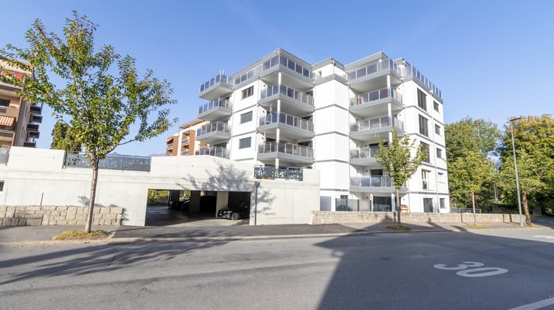 A LOUER A MONTHEY, PLACE DE PARC DOUBLE COUVERTE (1)