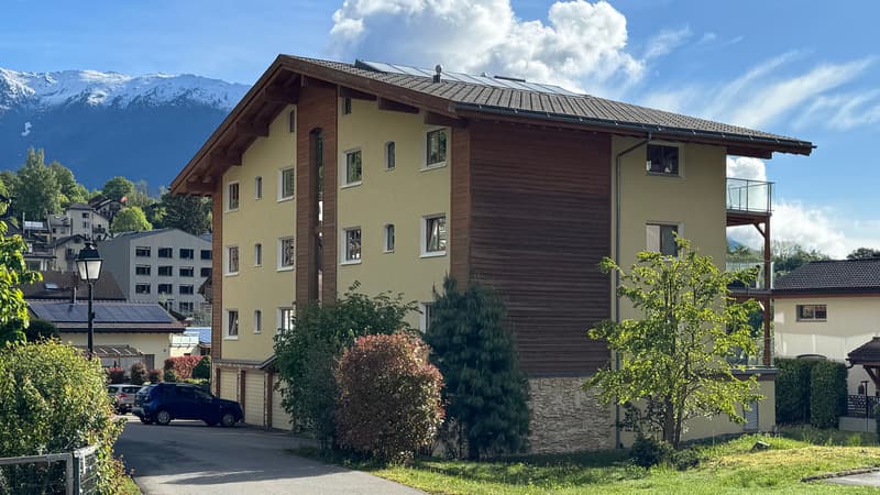 A VENDRE ATTIQUE 4.5 PCES A SALVAN (12)
