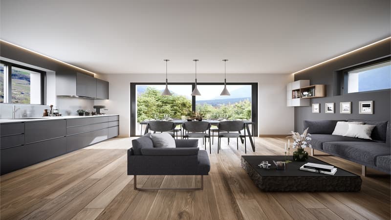 SPLENDIDE APPARTEMENT 4.5 PCES A SALQUENEN (2)