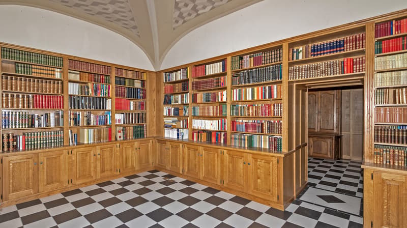 HABITATION DE MAITRE D'EXCEPTION EN PLEIN COEUR DE SIERRE (6)