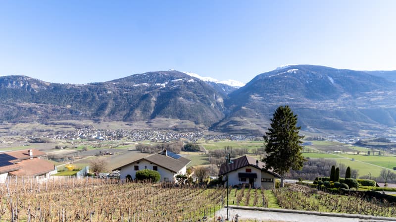 A VENDRE VILLA 6.5 PCES A OLLON (3)