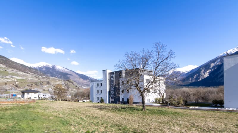 MAGNIFIQUE APPARTEMENT 3.5 PCES A SALQUENEN (3)