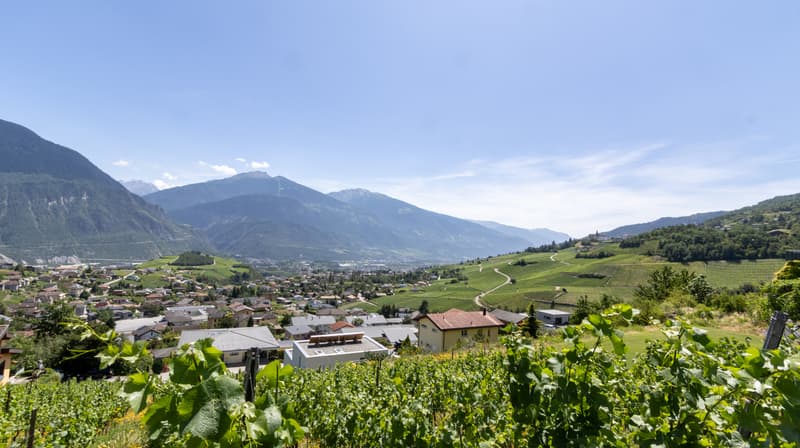 A VENDRE ATTIQUE 4.5 PCES DE STANDING A MIEGE (3)