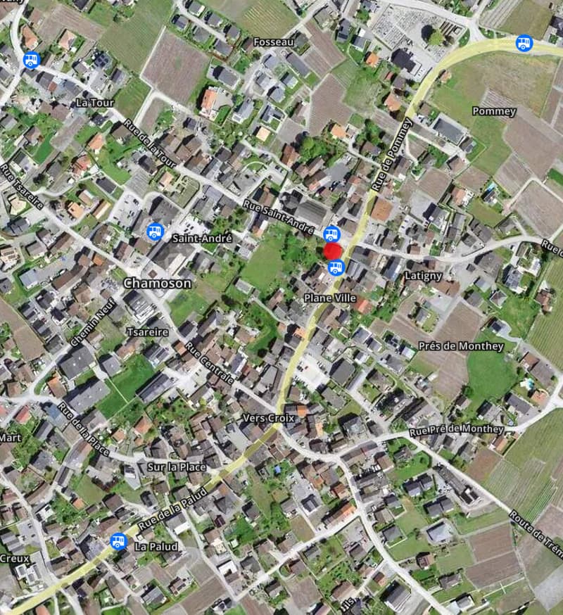 A VENDRE MAISON AVEC CACHET 5.5 PCES A CHAMOSON (12)