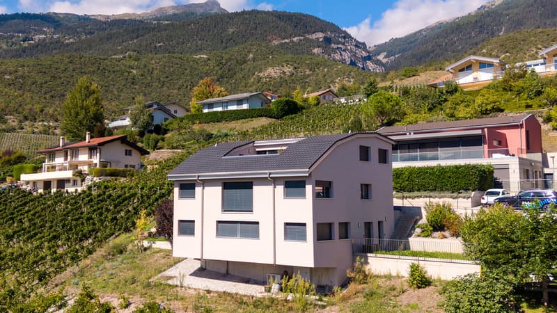 A LOUER VILLA 6.5 PCES A MIEGE (1)