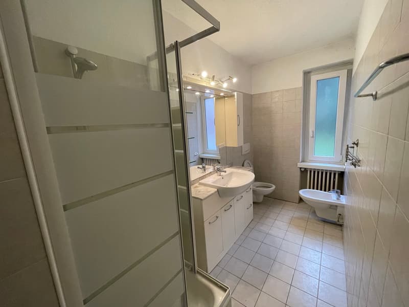Bathroom with shower, sink, toilet, bidet, and radiator