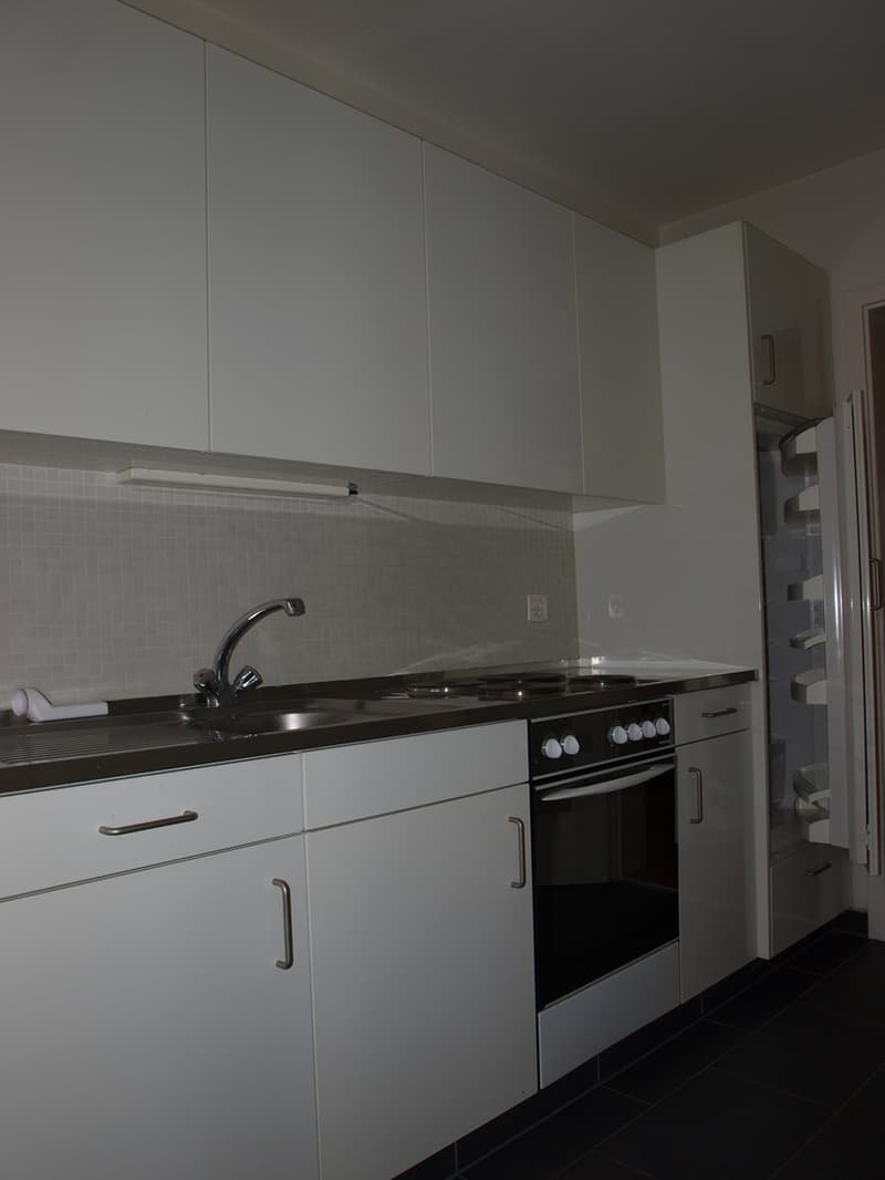 Schöne 3 Zimmerwohnung Zentral gelegen mit zwei Balkone (6)