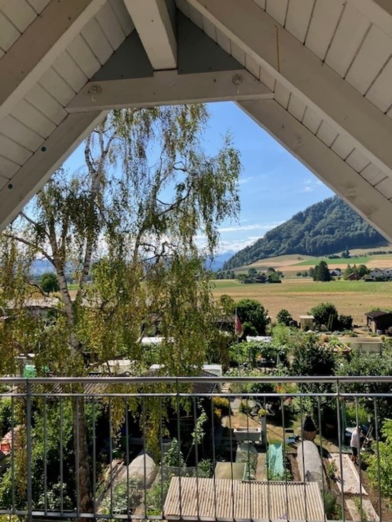 5.5-Zimmerwohnung mit wunderschöner Aussicht (1)