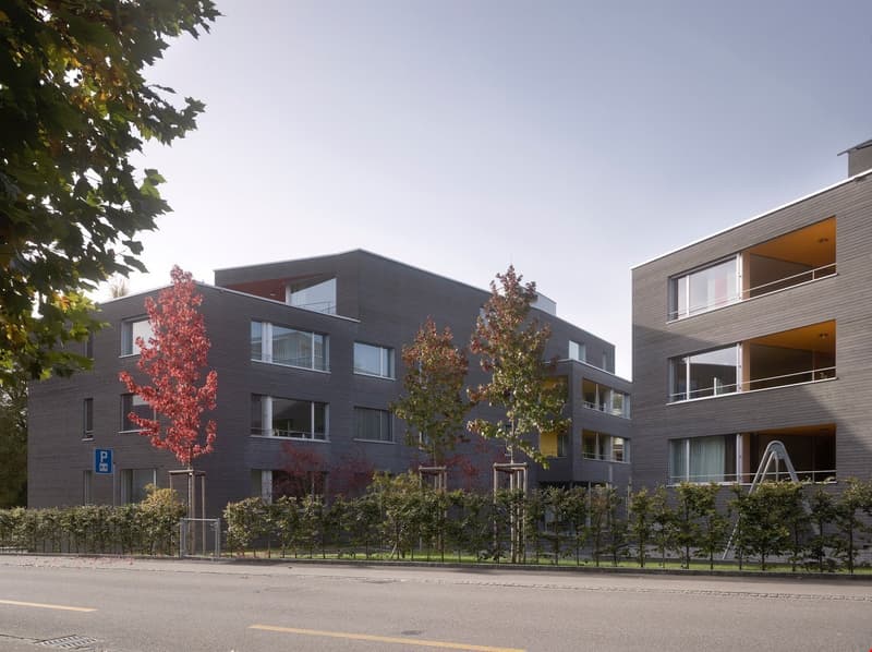 Moderne 4.5-Zimmerwohnung zu vermieten (2)