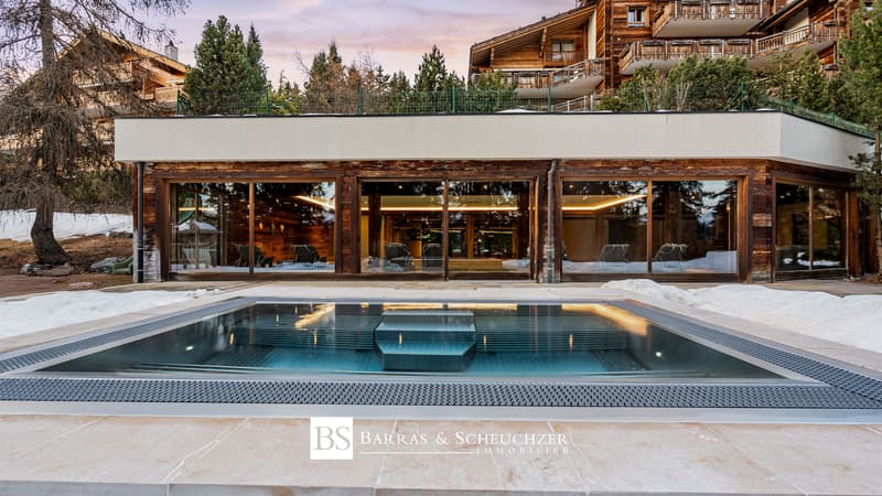 Espace wellness - jacuzzi